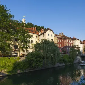  Hostel Adhoc Slovenië